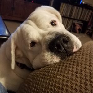 Meet your Posher, Denise